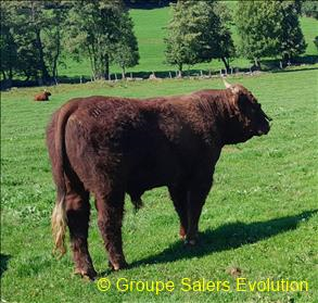 photo non disponible